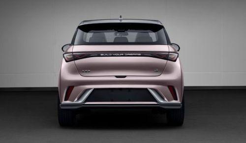 比亚迪海豚新款爆料视频,外观升级，性能再突破